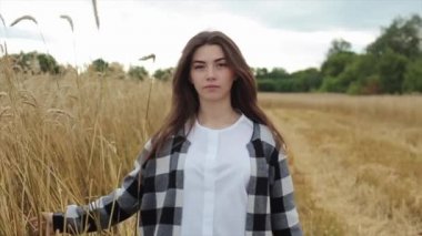 Şehvetli genç bir kız buğday tarlası boyunca yürür ve elleriyle dikenlere dokunur. Yakın plan. Yavaş çekim