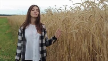 Ekose gömlekli sakin bir genç kız buğday tarlasında yürüyor ve eliyle dikenlere dokunuyor. Yakın plan. Yavaş çekim