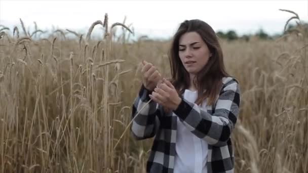 Retrato de una joven de pelo largo con una espiga de trigo en las manos. Movimiento lento — Vídeo de stock