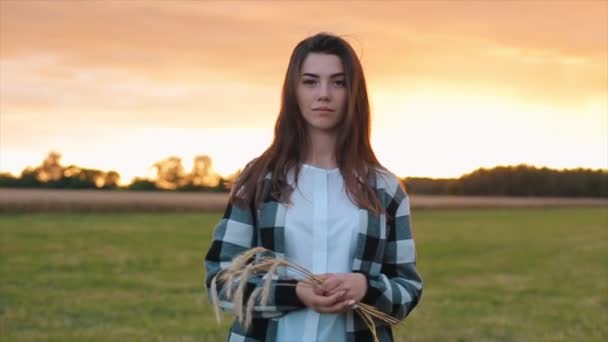 Uma jovem está andando em um prado contra o pano de fundo de um pôr-do-sol com espiguetas de trigo em suas mãos. Close-up. Movimento lento — Vídeo de Stock