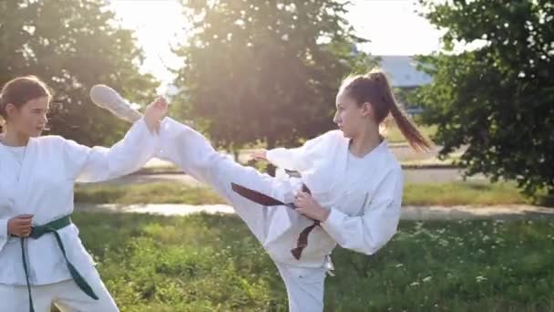 Duas jovens atletas do sexo feminino em kimonos brancos em karatê e praticar suas habilidades de luta na natureza. Vista lateral. Close-up — Vídeo de Stock