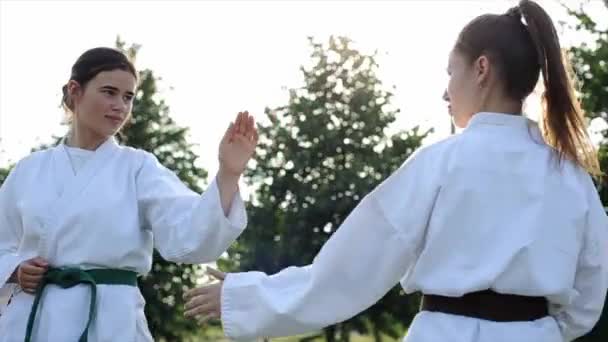 Una joven practicando karate con su compañero de combate en la naturaleza. Vista lateral. Primer plano. Ángulo de disparo inferior — Vídeos de Stock