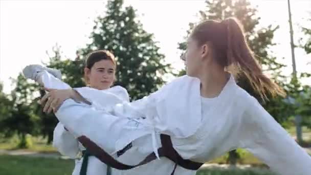 Dos mujeres jóvenes practican karate contra el telón de fondo de los árboles y bromean entre ellas. Vista lateral. Primer plano — Vídeos de Stock