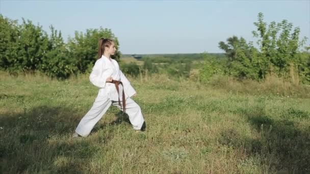 Een aantrekkelijk jong meisje oefent haar karate techniek buiten. Japanse krijgskunst. Sportconcept — Stockvideo