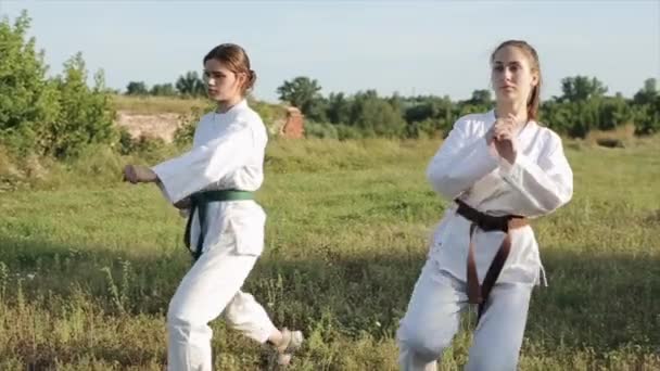 Dwie młode kobiety w białych kimonach ćwiczą karate na świeżym powietrzu i ćwiczą swoją technikę. Zbliżenie. Zwolniony ruch — Wideo stockowe
