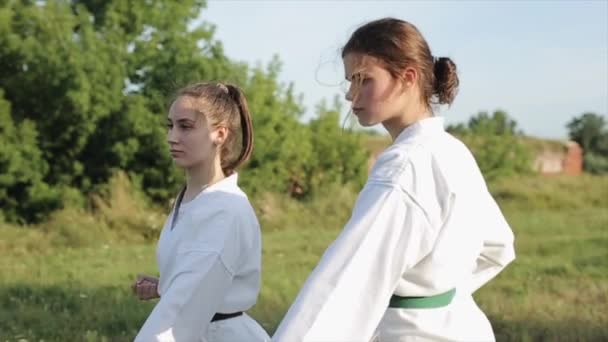 Mladé sportovkyně chodí na karate pod širým nebem a předvádějí různé techniky bojových umění v páru. Detailní záběr. Zpomalený pohyb — Stock video