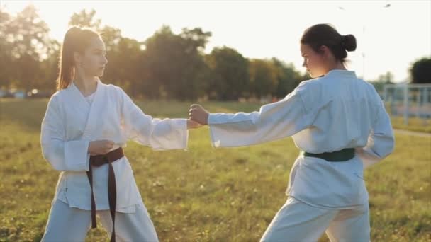 Két női sportoló gyakorolja a karatét a friss levegőn egy napos nyári napon és a rúgások gyakorlása párban. Közelkép. Homályos háttér — Stock videók