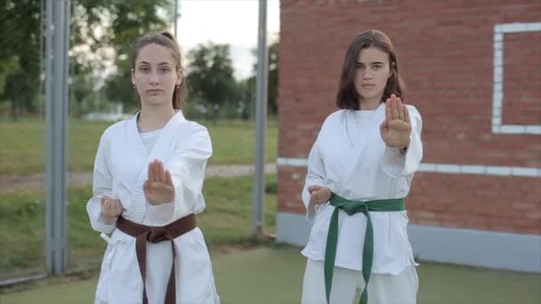 Zwei junge Frauen zu zweit zeigen grundlegende Karate-Positionen, während sie auf dem Sportplatz stehen. Frontansicht. Nahaufnahme — Stockvideo