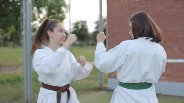 Desportistas no treinamento de karatê praticam habilidades de luta em pares em pé no campo esportivo. Vista lateral. Close-up. Movimento lento — Vídeo de Stock