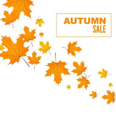 Soyut sonbahar arkaplanı