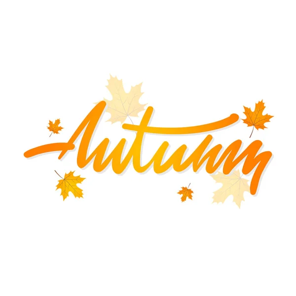 Vecteur écriture mot automne. — Image vectorielle