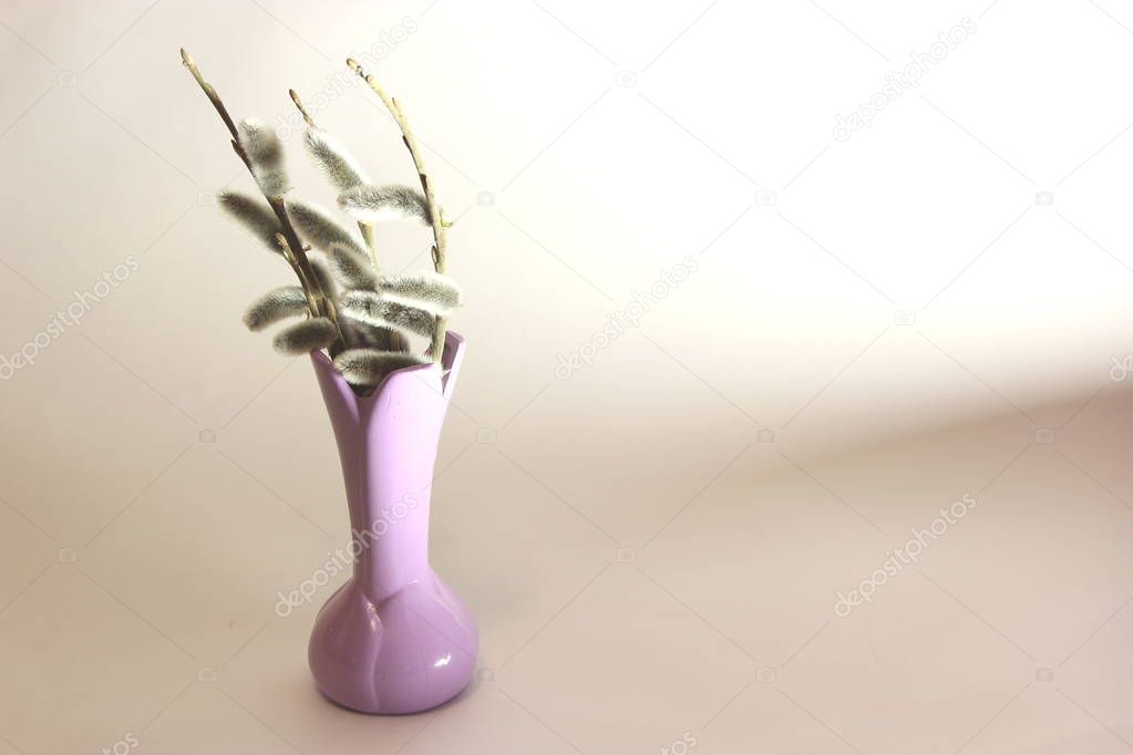 Willow twigs in a purple vase