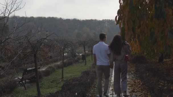 散策カップル散乱秋の葉 — ストック動画