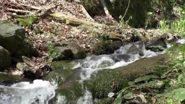 Řeka tok proudu vody s malým trhlina přes kamenné police — Stock video