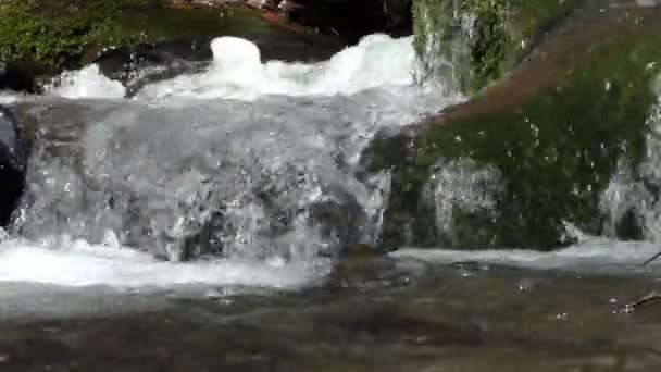 Rivier stream waterstroom met kleine kloof loopt over de stenen plank in Slow Motion — Stockvideo