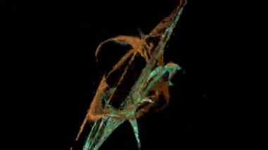 Alfa kanalı, loopable ile soyut hareketli arka plan