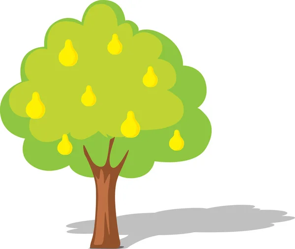 Pear Tree Isolated White Flat Design Illustration Vector — Stock Vector