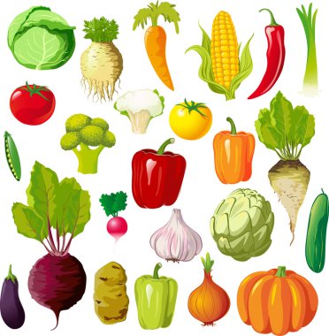 Sebze illüstrasyon büyük koleksiyonu Mix - vektör çizim ayarla