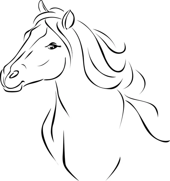 Pferdekopf-Abbildung schwarze Skizze - Vektor — Stockvektor