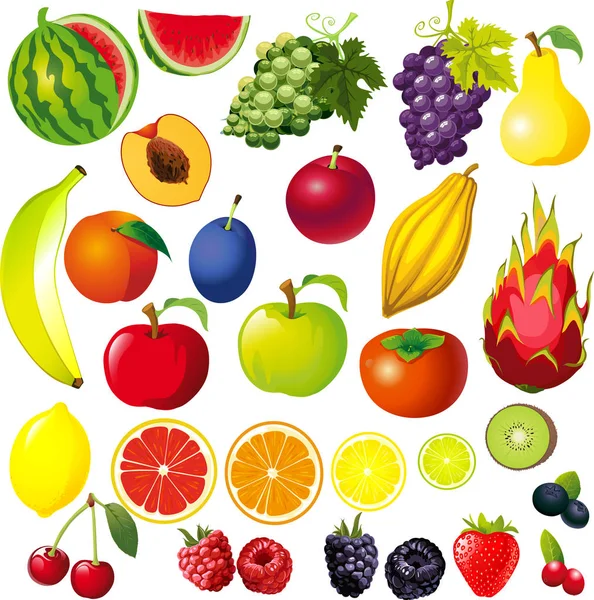 FRUIT Ilustración Big Collection Mix - Vector — Archivo Imágenes Vectoriales