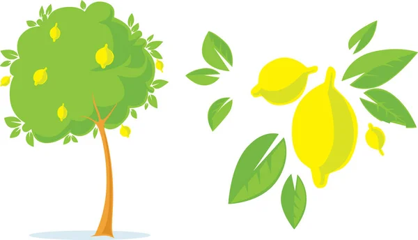 Lemon Tree con Lemon Flat Design fresco con agrumi - Illustrazione vettoriale — Vettoriale Stock