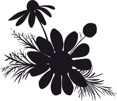 Beyaz Arkaplan Üzerine Papatya Çiçeği Silueti İllüstrasyonu