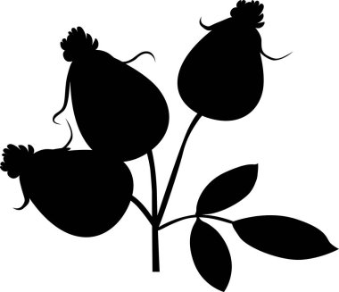 Rose Hip Siluet - Siyah Vektör İllüstrasyonu