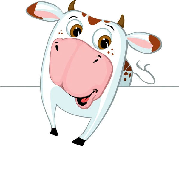 Cute Cow Peeking Out Derrière Une Surface Blanche Illustration Vectorielle — Image vectorielle