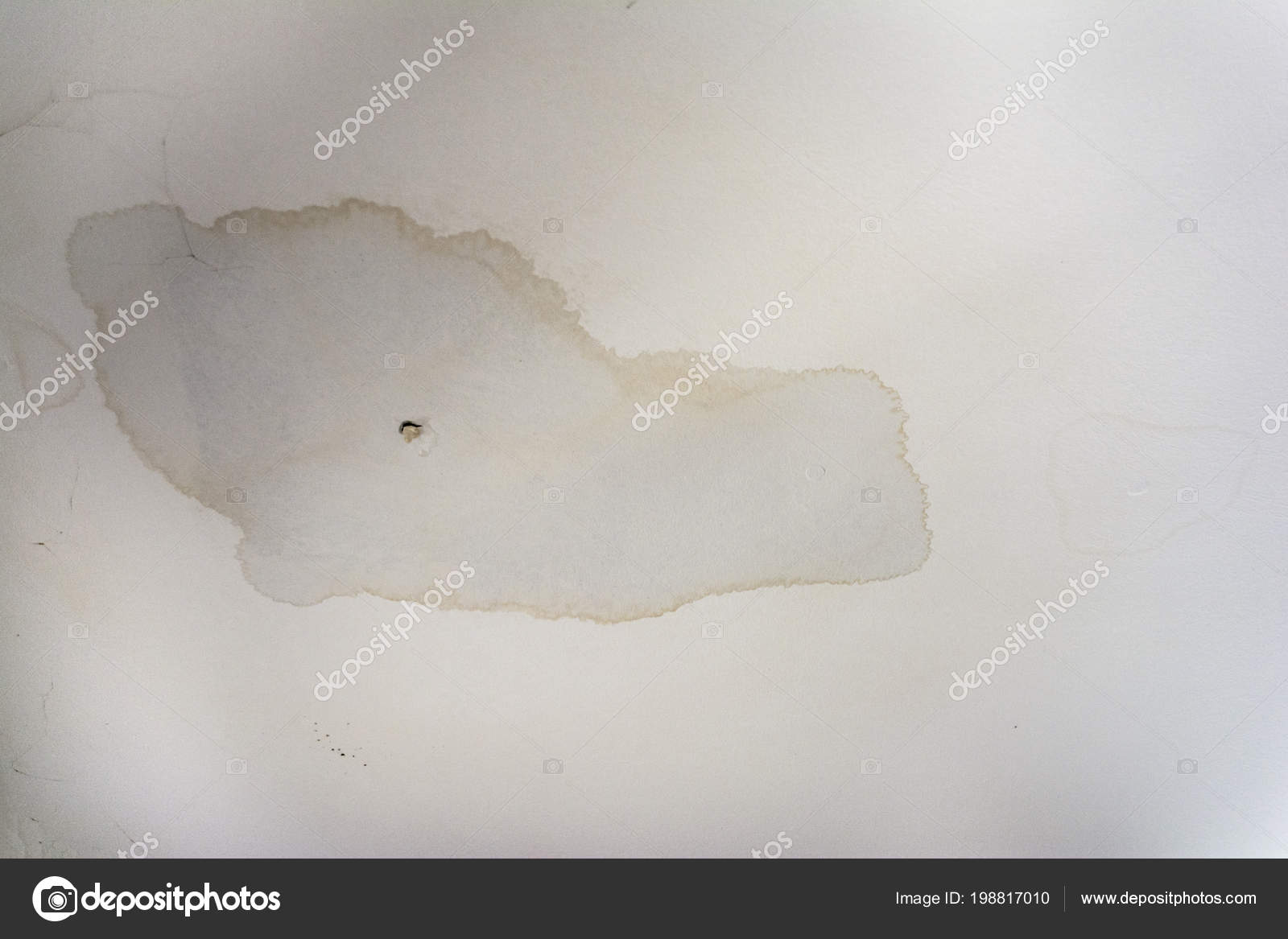 Interior Water Spots On Ceiling Mold Disrepair Damage Tiles