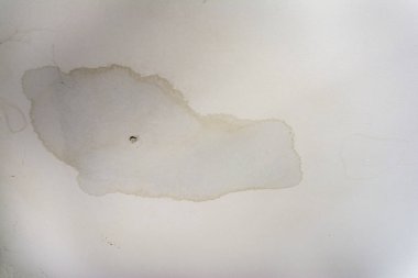 Interior Water Spots on Ceiling Mold Disrepair Damage Tiles clipart