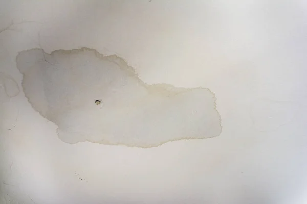 Interior Water Spots on Ceiling Mold Disrepair Damage Tiles — Stock Photo, Image