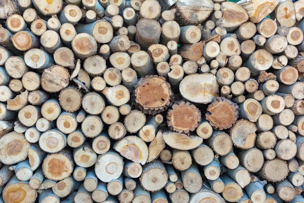 Pieu de bois de chauffage troncs de bois haché empilés, fond en bois gros plan — Photo