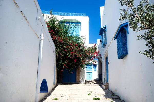 Sokaklar ve binalar şehir merkezi Sidi Bou Said.