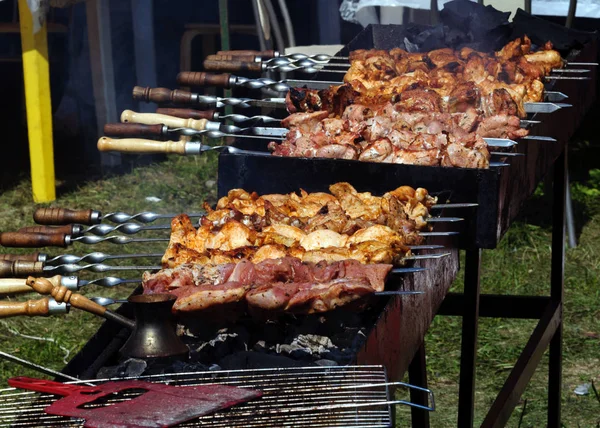 Pezzi Carne Fritti Spiedini Sono Arrostiti Una Griglia — Foto Stock