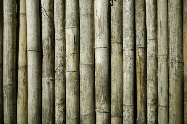 Old Fence Made Vertical Poles Natural Bamboo Close — Stock Photo, Image