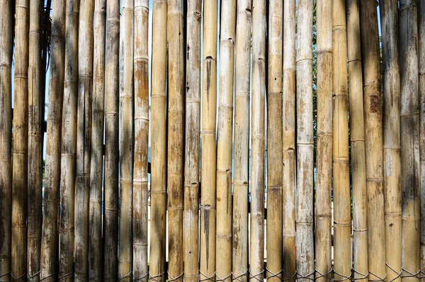 A fence made of natural bamboo in a beach of Phuket. — Stock Photo, Image