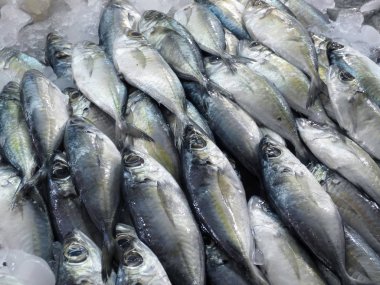 Doğu pazarında taze balık.