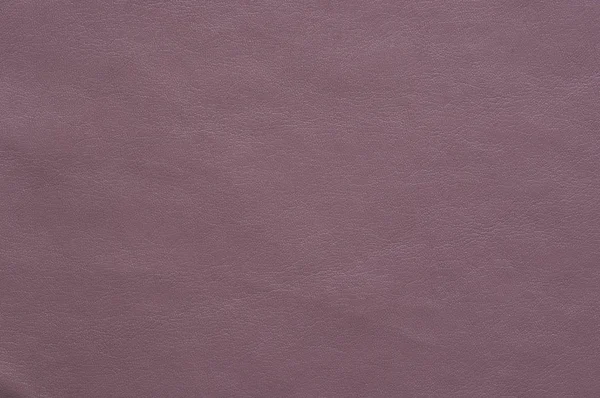 Faux cuir violet pâle à texture fine . — Photo