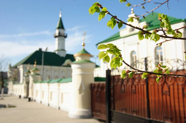 Hojas jóvenes de color verde claro en una rama de árbol en el fondo de la mezquita en la primavera . — Foto de Stock