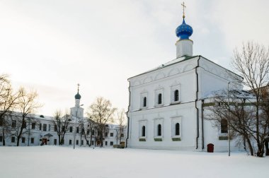 Ryazan Kremlin Rusya Spaso Preobrazhensky Katedrali.