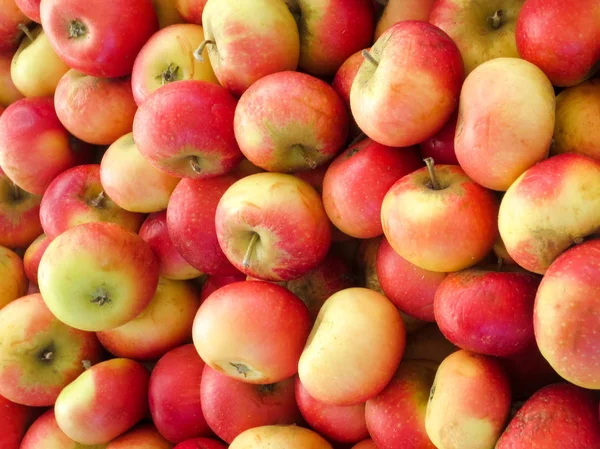 Frische rote gelbe Äpfel auf dem Markt. — Stockfoto