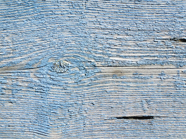The texture of the surface of the old wooden wall with the remains of blue paint.
