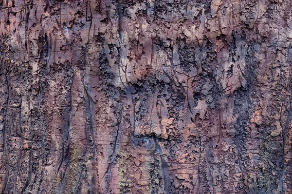 La imitación de la corteza del árbol de la cerámica . — Foto de Stock