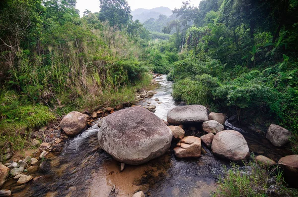 Mountain river with boulders in the jungle.