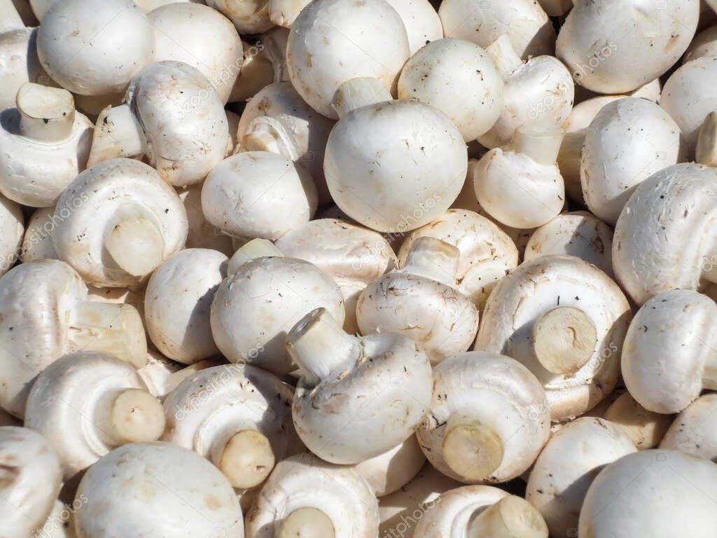 Fresh white mushrooms at the street market, background.