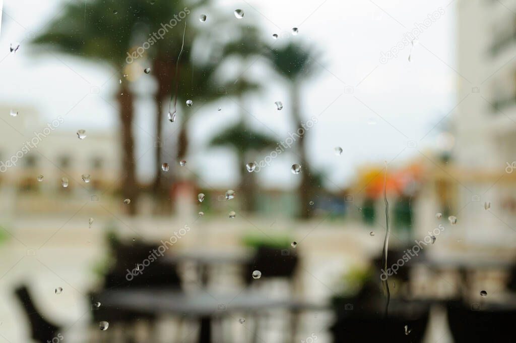 Raining drop on glass with palm tree background, Tunisia.