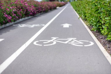 Parktaki bir yolda bisiklet yolu işareti.