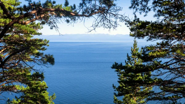 Utsikt över sjön Baikal inramad av tallar. — Stockfoto