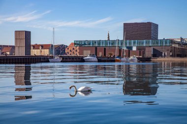 Copenhagen, Danimarka - 6 Mayıs 2018: Kuğu demirli tekneler ve modern binalar, Kopenhag, Danimarka yakınındaki sakin suda Yüzme