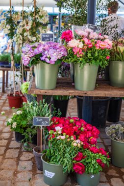 Görünümü peonies kovalar ve HORTENSIA pazar yeri kapatın